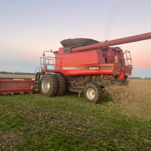 Cosechadora CASE IH 2799
